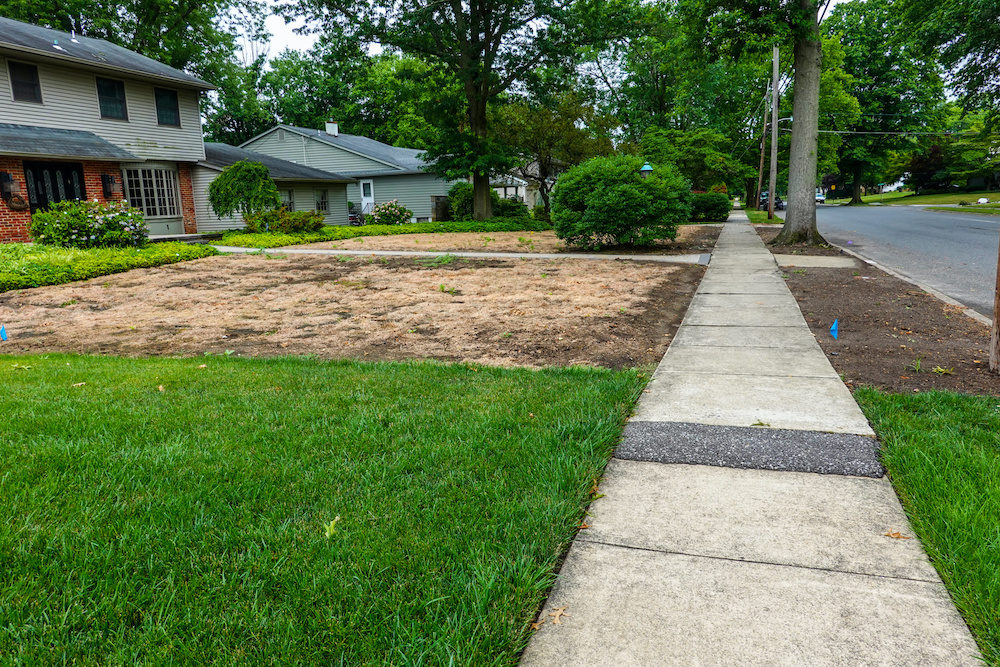 sidewalk in suburbs